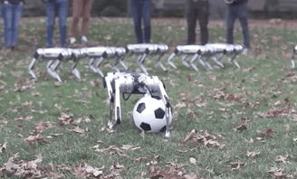 一群机器狗亮相MIT,集体后空翻 踢足球,网友 赶紧去看黑镜压压惊 