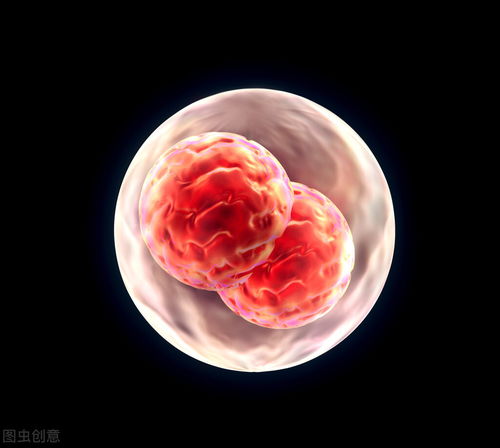 试管婴儿胚胎移植前出现什么情况可能需要推迟？