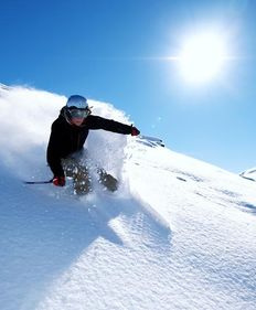 高山滑雪 搜狗百科 