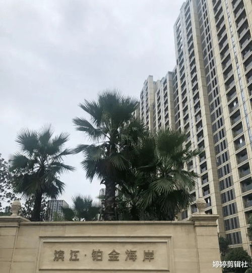 小区名字保卫战,业主做出惊人举动,网友纷纷表示开眼界