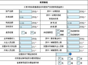 我公司去年8月成立，今年第一年年检，网上申报要求填写资产负债表，年初数要 如何填写.