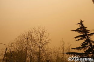 第一轮沙尘暴到北京 漫天黄沙