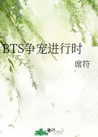 BTS争宠进行时 席符 