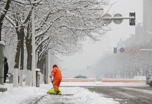 辽宁大雪Ⅳ级预警 还记得13年前那场大雪