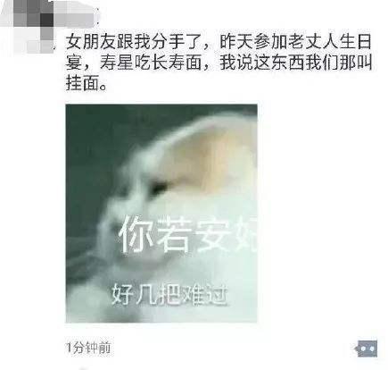 不好意思, 我真的被这些朋友圈写段子的逗笑了