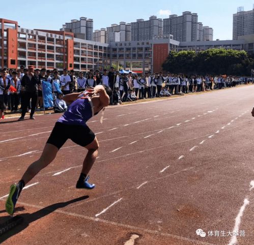 排球体育生可以考哪些大学