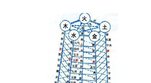 测算八字五行查询解析