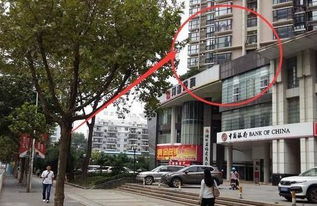 临街房子噪音大用什么高科技怼回去(临街房子怎样降低噪音)