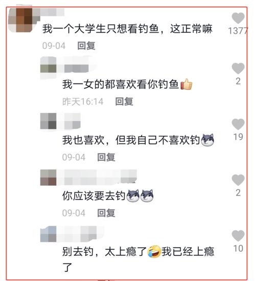 为什么越来越多的人喜欢上了云钓鱼