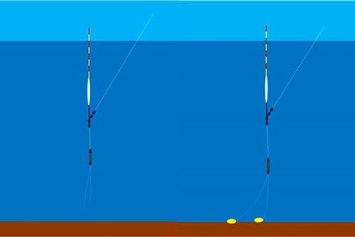 图解钓鱼调漂的5种方法,各有各的特点,适合不同的鱼情