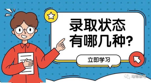 高考录取状态怎么查 哪个状态代表没被录取 快来了解