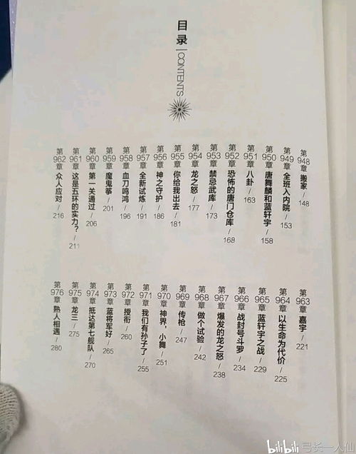 2个字的小说 开光日记全文目录