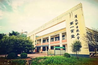 电大有什么专业 清远有哪些大学