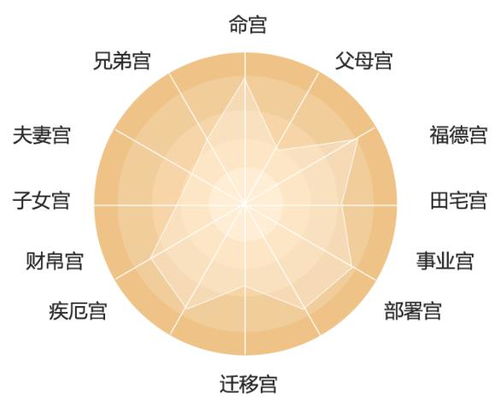 紫微12宫揭晓你何时能咸鱼翻身,12大方向运势