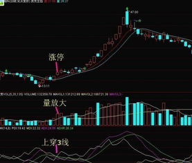 通过dmi中cross（pdi，mdi）和vmacd>；0选股的公式