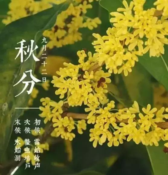 2020秋分是几月几日几时几分 秋分节气含义习俗 今年将迎124年来最早秋分 