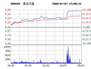 青岛双星,东风汽车股票怎么样??请帮忙分析一下.