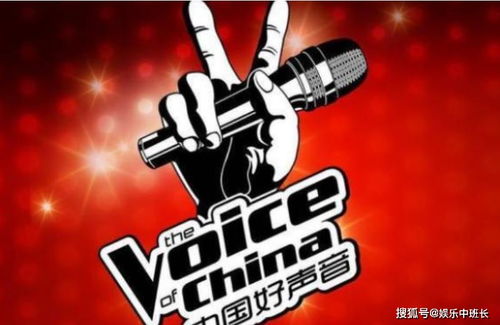 中国好声音 2021海选取消是什么原因 和 青春有你 有关系吗