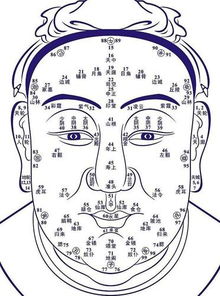 看相绝招100条