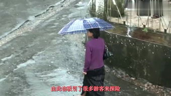 终年下雨的地方 – 