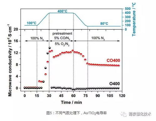 蜀泰化工之体相缺陷对催化反应的影响 