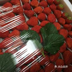 批发零售水果干果的草莓好不好吃 用户评价口味怎么样 郑州美食草莓实拍图片 大众点评 