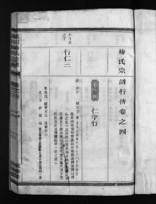 元代家谱上的名字是以数字命名的 这里面蕴含了哪些历史特色