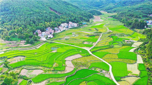 湖南新田 生态乡村 靓丽如画 