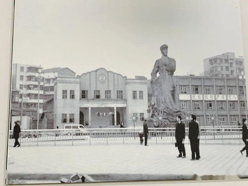 有谁知道营山牛市在哪里