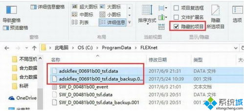 cad在win10上许可证未正确安装