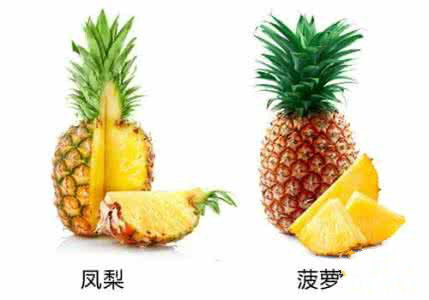 菠萝和凤梨怎么区分