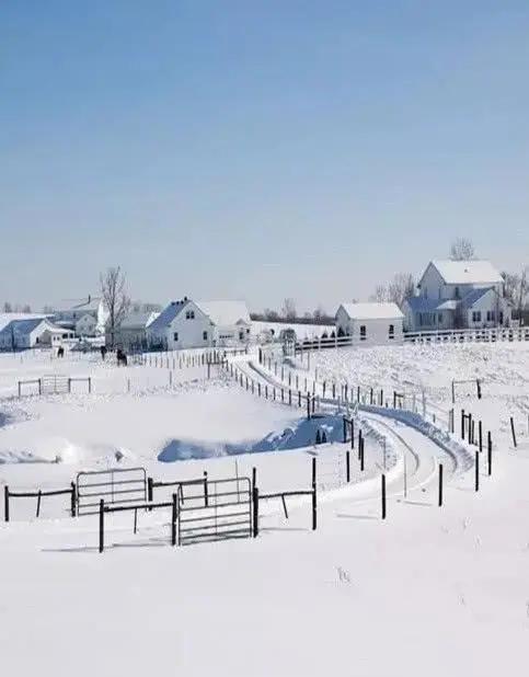 心理学 你认为哪个雪景最美丽 测你适合什么样的另一半