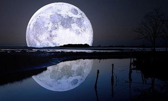 有月亮的晚上(有月亮的晚上好路翘嘴吗)