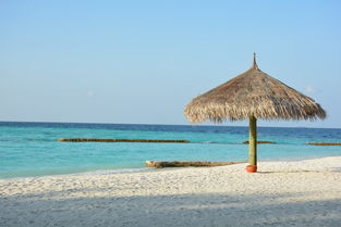 马尔代夫港丽岛哪些项目可以免费体验（马尔代夫丽世岛）