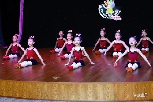 中国舞蹈家协会中国舞蹈考级 动感宝贝龙城 钻石校区学员展示