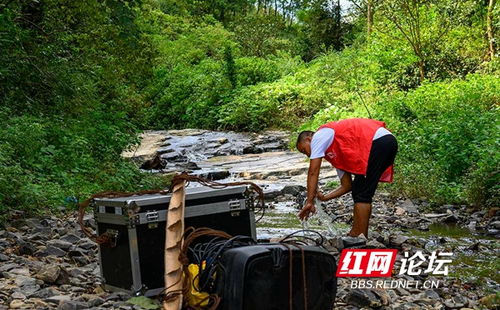 肩挑背驮跋山涉水,他们是活跃在芷江乡间的 银幕使者