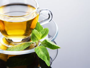 冬瓜薄荷减肥茶什么时间喝,冬瓜荷叶茶什么时候喝效用最好