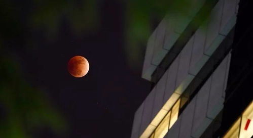 这么美的红月天相,夜观天象的 老夫们 称此为灾难