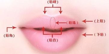 简单易学画唇线的方法 