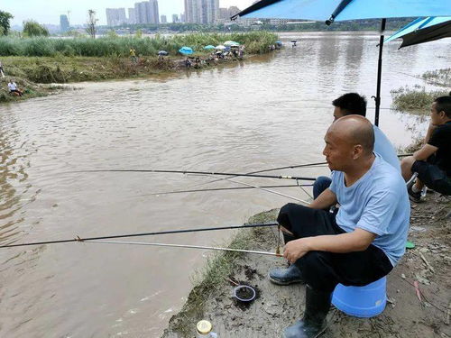 洪水过后,很好钓鱼了吗 