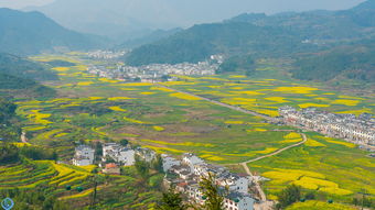 上饶篁岭景区有免费停车场吗 篁岭停车场收费(篁岭免费停车场在哪里预约)