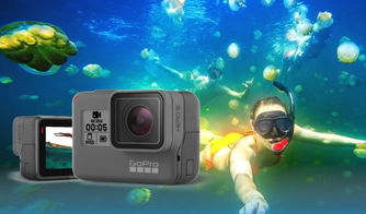 GoPro水下摄影全攻略丨潜水必备秘籍