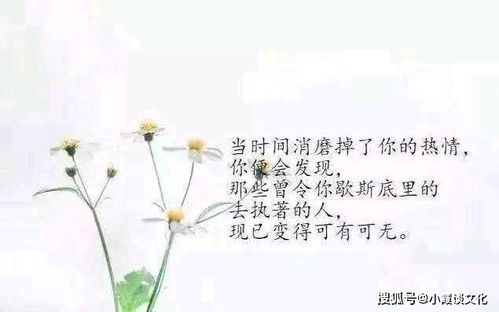 网上很火的心情说说,每一句都写进心窝里