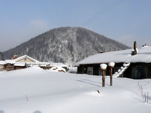 与冰雪世界的亲密接触 哈尔滨 雪乡之旅