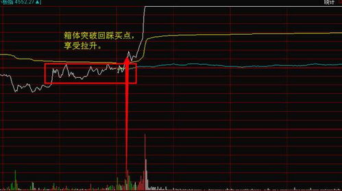 请问运鸿股票什么时候可以交易？