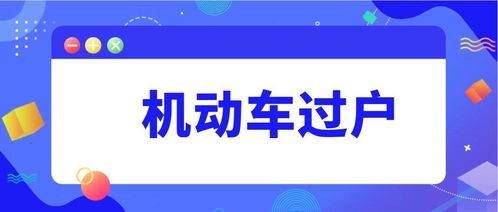 公司过户以后法人股东在哪里查询是否更换成功