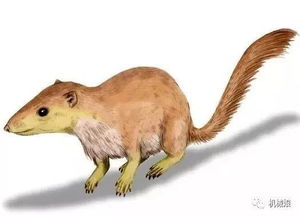 恐龙时代的人类祖先是什么样子