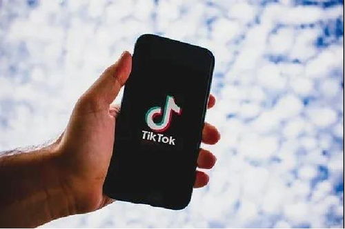 如何查看TikTok Ads成效_tiktok怎么开通专业账户
