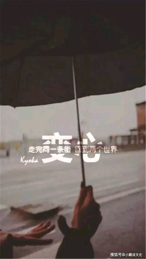 受过伤的爱情说说：后来 那些失眠的夜成为我的记忆