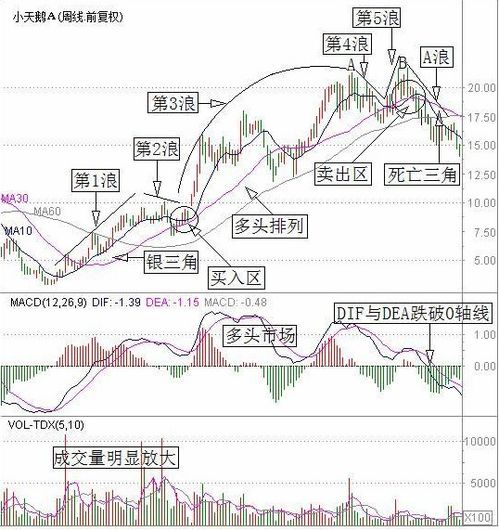 对于长线或波段操作，K线和均线哪个更重要？